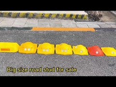 길거리의 큰 고양이 눈