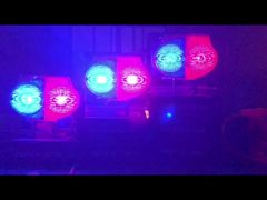 태양광 도로 조명 2색